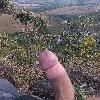 foto do perfil morenolamg